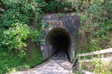 Karangahake 'deki eski bir pul bataryasının kalıntıları. Altına hücum zamanı, Coromandel yarımadası, Yeni Zelanda.