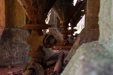 Yeni Zelanda 'daki Coromandel yarımadasında, Karangahake' de çürümüş pul bataryası.
