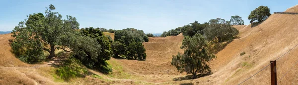 Panoramic view of crater at One Tree Hill in Auckland, New Zealand