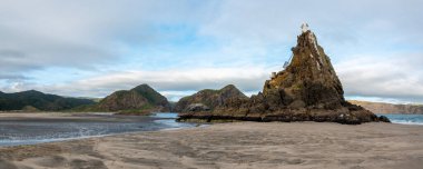 Auckland, Yeni Zelanda yakınlarındaki Whatipu sahilindeki sakin koy.