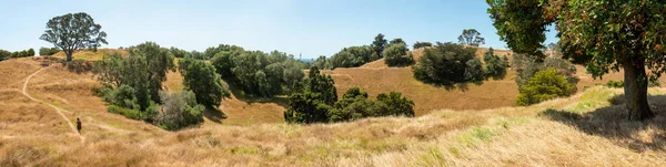 Landschaftliche Landschaft One Tree Hill Park Auckland Neuseeland — Stockfoto