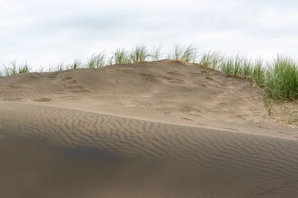 Dark Colored Sand Whatipu Beach Auckland New Zealand — Stock Photo, Image