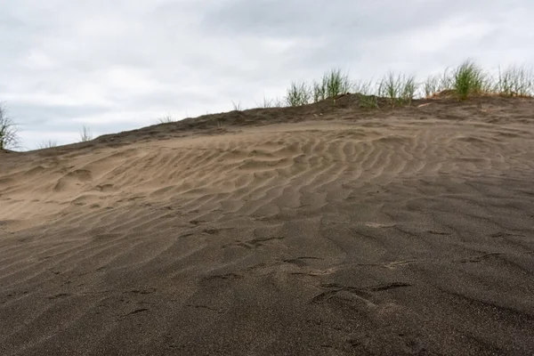 Dark Colored Sand Whatipu Beach Auckland New Zealand — Stock Photo, Image