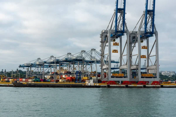 Cargo harbor in Auckland, New Zealand