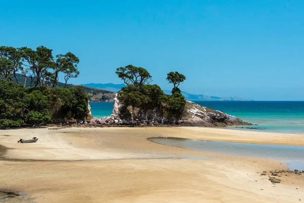 Tropisk Strand Great Barrier Island Nya Zeeland — Stockfoto