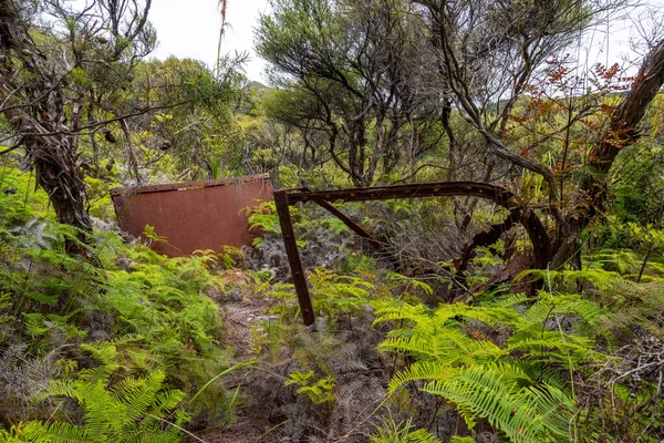 Restos Corrida Ouro Grande Barreira Nova Zelândia — Fotografia de Stock