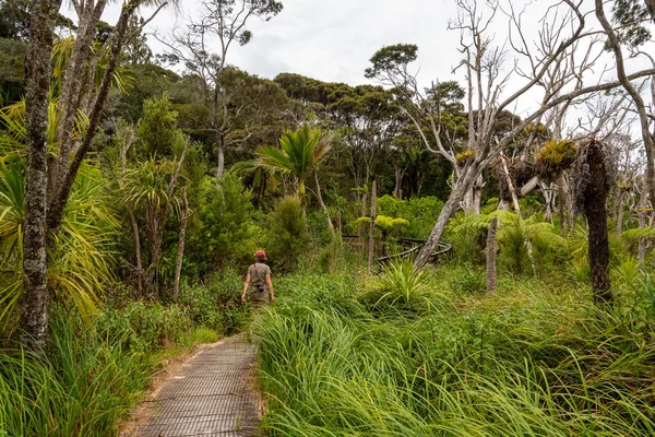 Békés Kaitoke Hot Springs Hez Great Barrier Island Zélandon — Stock Fotó