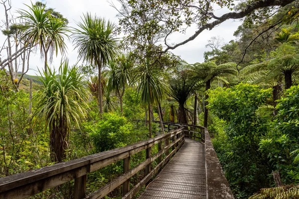 Békés Kaitoke Hot Springs Hez Great Barrier Island Zélandon — Stock Fotó