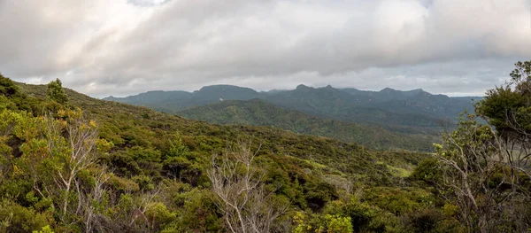 Ruhige Hochlandlandschaft Der Great Barrier Island Neuseeland — Stockfoto
