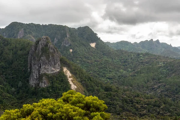 Ruhige Hochlandlandschaft Der Great Barrier Island Neuseeland — Stockfoto