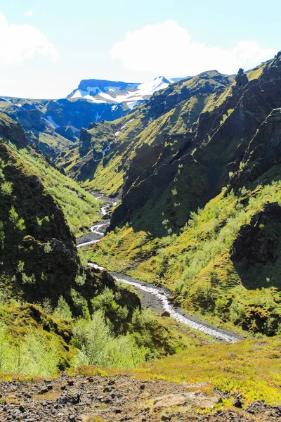 Pequeno Riacho Que Leva Vale Thorsmoerk Trilha Caminhadas Fimmvorduhals Islândia — Fotografia de Stock