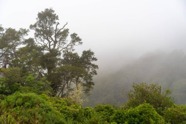 Remutaka geçidinde manzaralı dağ manzarası, Yeni Zelanda 'nın Kuzey Adası