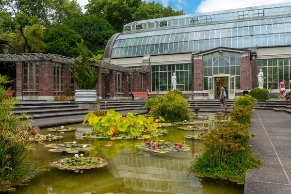 Schöne Blumen Domain Wintergarden Auckland Neuseeland — Stockfoto