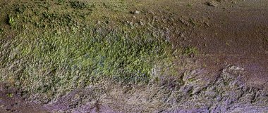 Yıpranmış taşın yakın plan görüntüsü eski yüzey şekillerini, çatlakları ve organik çeşitliliği gösteriyor.