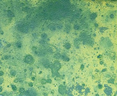 Organik desenler ve ince tonsal çeşitlilik içeren yeşil desenli bir yüzeye yakın plan. Doğal görünümlü soyut arkaplan ve yumuşak, düzensiz doku.