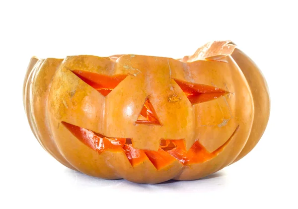 Beyaz arka planda Cadılar Bayramı kabağı