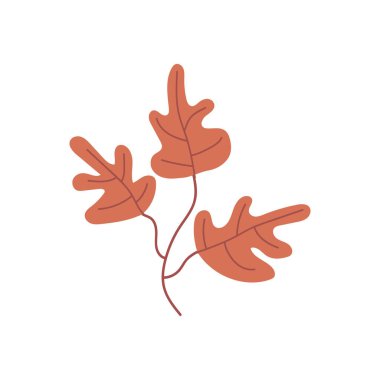 Sonbahar yaprakları. Simge. Kartpostalların, parmak izlerinin ve tasarımın dekorasyonu için. Vektör.