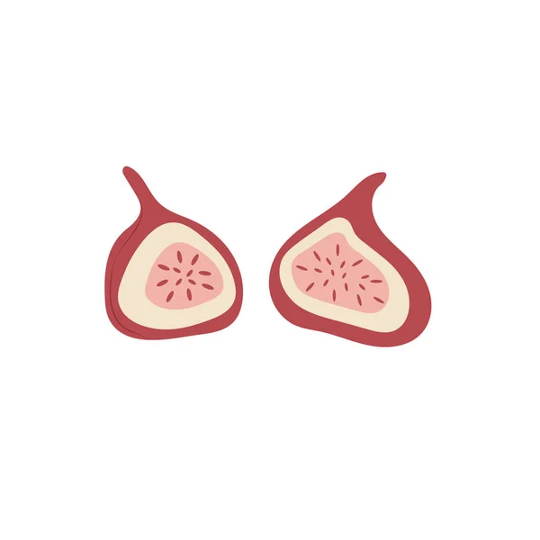 Soyut bir tarzda dilimlenmiş incirler. Vektör