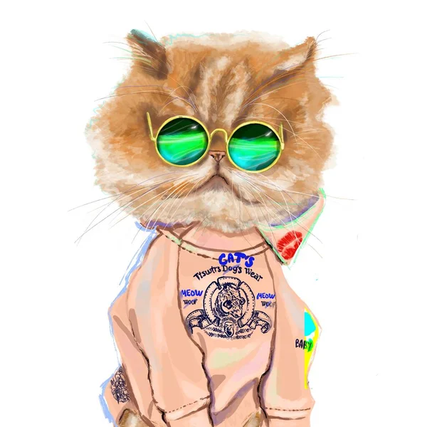 Handgetekende Grappige Modeillustratie Van Een Perzische Kat Een Trendy Outfit — Stockfoto