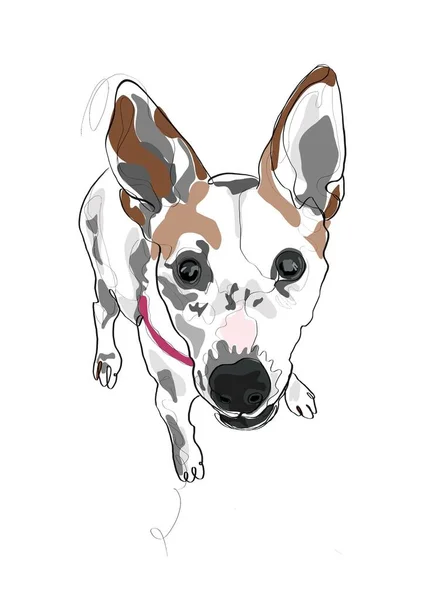 Ilustração Estilizada Desenhada Mão Cachorro Terrier Estilo Abstrato Uma Linha — Fotografia de Stock