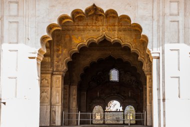 Red fort Delhi, Hindistan