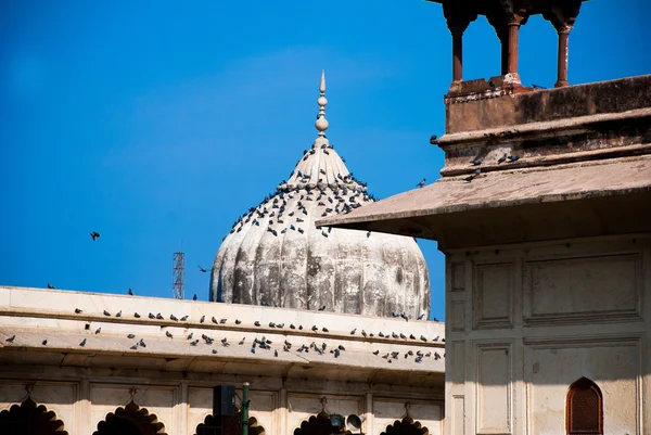 Rotes fort in delhi, indien — Stockfoto