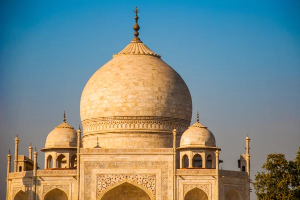Taj Mahal en Agra, Uttar Pradesh, India — Foto de Stock