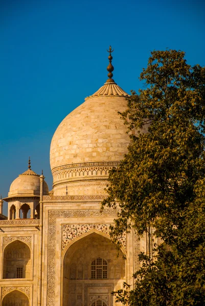 Taj Mahal. Agra, India — Stockfoto