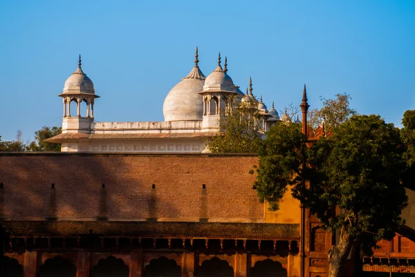 Agra, Hindistan. Agra Fort. — Stok fotoğraf