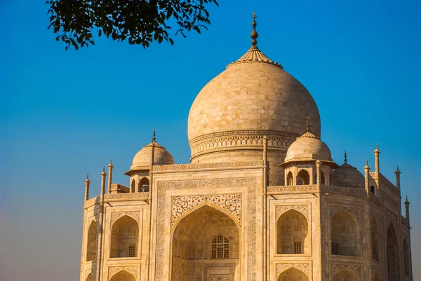 Taj Mahal. Agra, India — Stockfoto