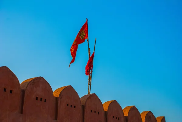 Templo dos Macacos. Jaipur. Índia . — Fotografia de Stock