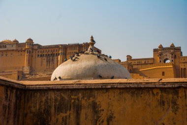 Amber fort. Jaipur. Hindistan.