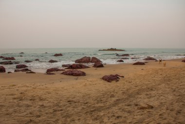 Arambol beach, devlet Goa, Hindistan.