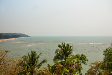 Palmiye ağaçları ve deniz. Goa. Hindistan
