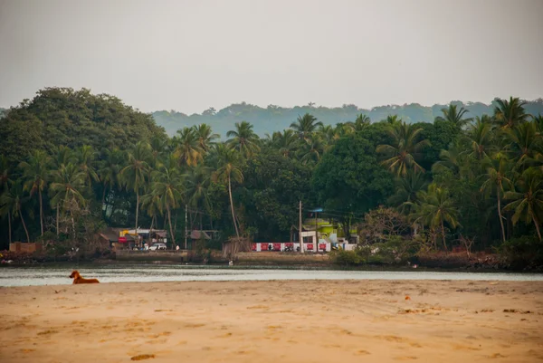 Malam lanskap, senja laut. Goa negara, India . — Stok Foto