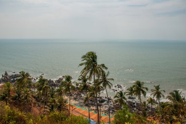 Arambol plaj. Palmiye ağaçları. Deniz. Goa devlet, Hindistan.