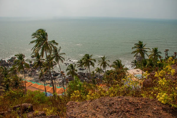 Arambol plaj. Palmiye ağaçları. Deniz. Goa devlet, Hindistan. — Stok fotoğraf