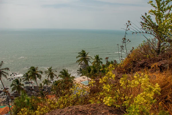 Praia de Arambol. Palmeiras. Mar. Estado de Goa, Índia . — Fotografia de Stock