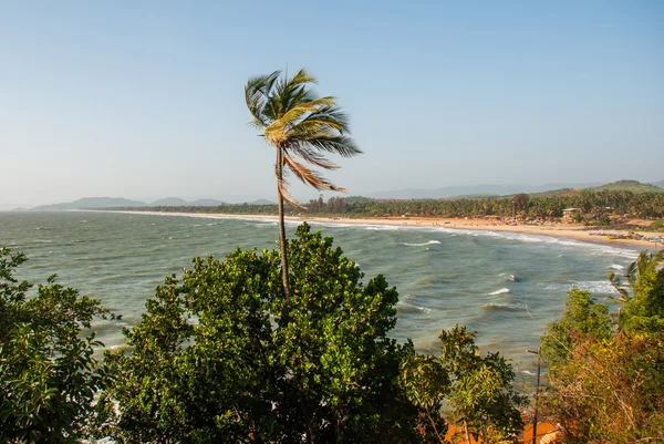 Гарний пляж у Гокарна. Карнатака, Індія — стокове фото