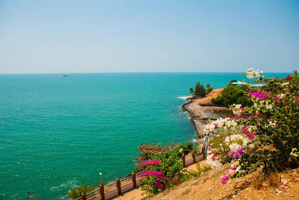Una vista sul mare. Cespugli verdi con fiori bianchi e rossi. Murudeshwar. Karnataka, India . — Foto Stock