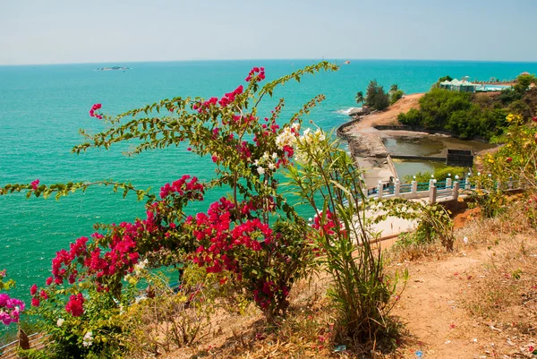 Una vista al mar. Arbustos verdes con flores blancas y rojas. Murudeshwar. Karnataka, India . — Foto de Stock