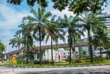 Palmiye ağaçları ve evler. Kuala Lumpur, Malezya.