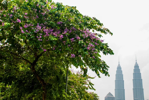 Die Wolkenkratzer der Stadt Kuala Lumpur, Malaysia. — Stockfoto