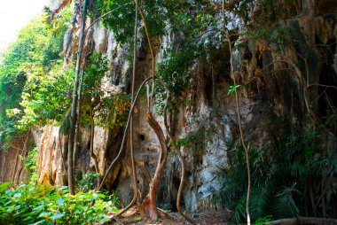 Railay yarımadanın mağara. Krabi, Tayland.