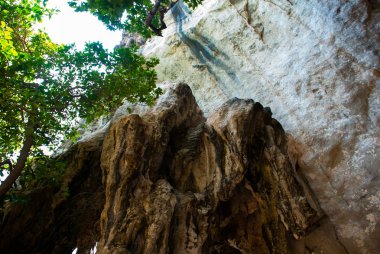 Railay yarımadanın mağara. Krabi, Tayland.