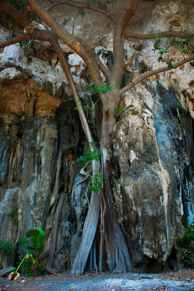 A barlang a Railay-félszigeten. Krabi, Thaiföld. — Stock Fotó