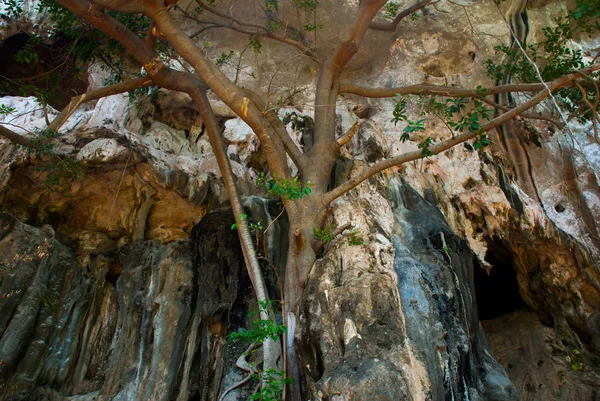 La grotte de la péninsule Railay. Krabi, Thaïlande . — Photo