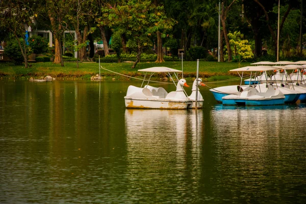 Park, tó, hajó. Bangkok.Thailand. — Stock Fotó