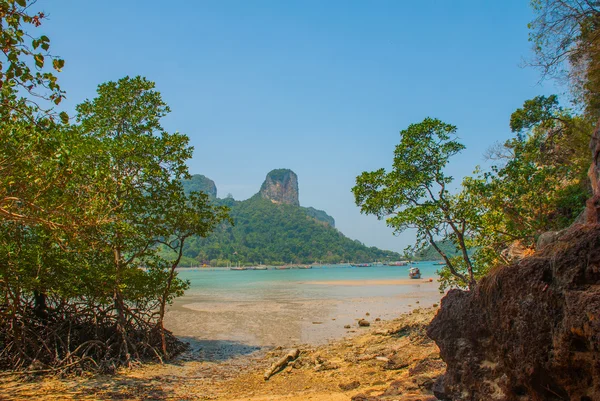 Rock. Półwyspie Railay. Krabi, Tajlandia. — Zdjęcie stockowe