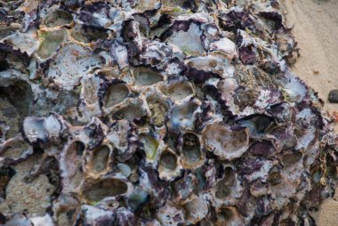 Taş. Krabi, Tayland.